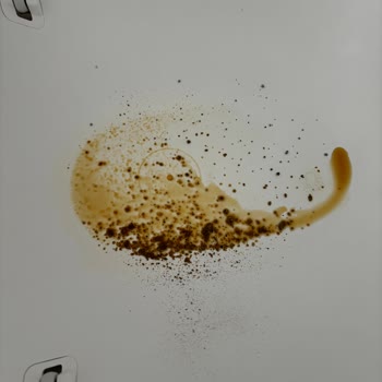 Xiaomi Petkit Pura Max Otomatik Kedi Tuvaleti Pişmanlık