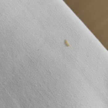 Club Nena Otel 5 Yıldızlı Gibi Değil!