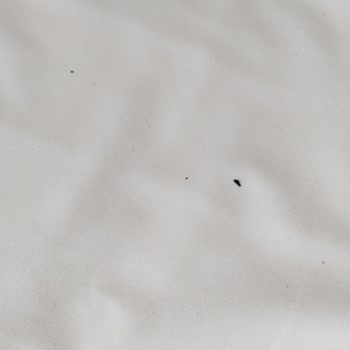 Club Nena Otel 5 Yıldızlı Gibi Değil!