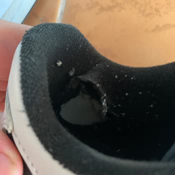 Adidas Forum Low Marka Ayakkabı İçi Sökülmesi