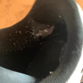 Adidas Forum Low Marka Ayakkabı İçi Sökülmesi