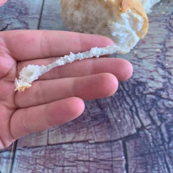 Getir Van Ekmekten Yabancı Madde Çıktı