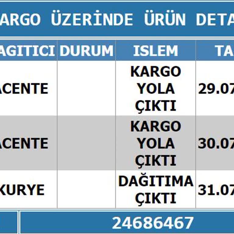 Eskişehir Yol Kargo Sorumsuzluğu, Bir İşi Becerememesi