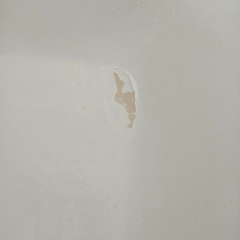 Bianca Boya Stella Pişmanlıktır!