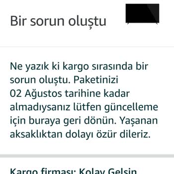 Amazon Fiyat Değiştiğinden Ürün Teslim Edilmedi.