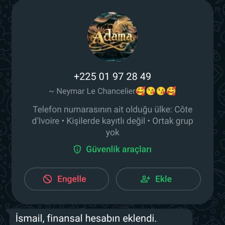 WhatsApp Bilinmeyen Numaradan Gelen Şüpheli Mesaj