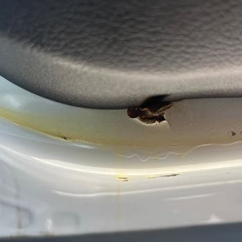 Ford Otomotiv A. Ş Sıfır Araçta Çürüme Ve Boya Dökülüyor