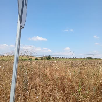 Türk Telekom PTT Nin İşini Yapması Dilerim.