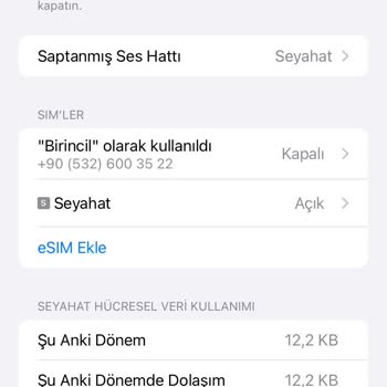 Pocketesim Pocket E Sim Sorunu