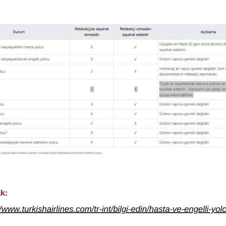 THY Otizmli Bireylerden Rapor İstiyor
