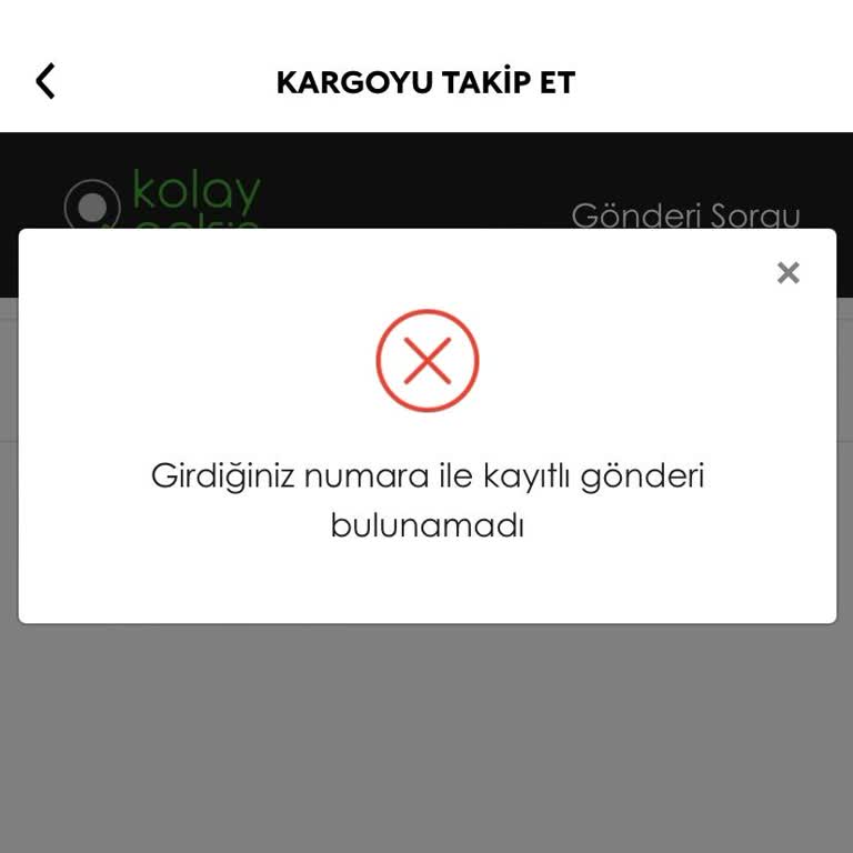 Kiko Milano Kargoya Verildiği Söylenip Aslında Kargoya Verilmeyen Ürün