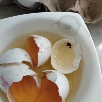 A101den Aldığım Yumurta Bozuk Bu 2. Kez Oldu