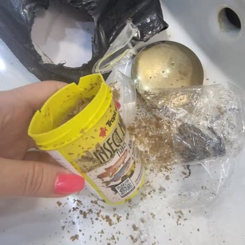 Mgs Group Balık Yemi Pişmanlığı