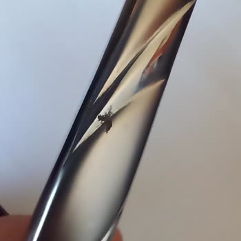 Güral Porselen Küflenen Yemek Takımı.