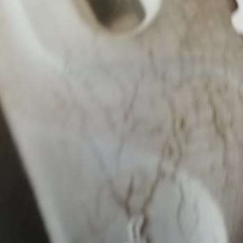 Skechers Ayakkabı Çatlak Sorunu Ve Firmanın Umursamazlığı