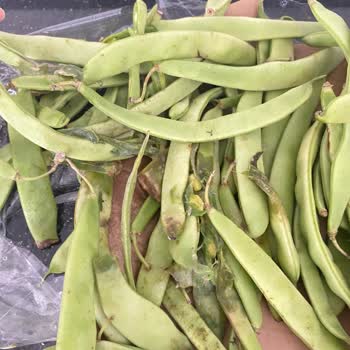 Getir Den Sipariş Verdiğim Ürünlerin Çürük Gelmesi