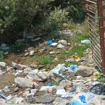 Hakkari Merkez İl Özel İdaresi İlgili Alanlarını Temizlemiyorlar!