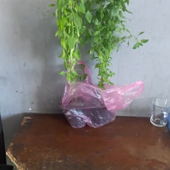 Mersin Büyükşehir Belediyesine