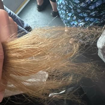 Dyson Airstrait Saçımı Yaktı, Dyson Hayal Kırıklığı