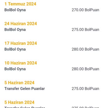 Pegasus Bol Bol Puan Uygulamasındaki Transfer Sorunu Ve Diğer Hesap