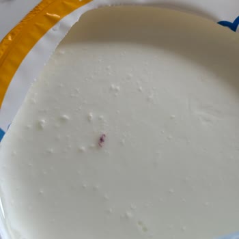 İçim Süt ve Süt Ürünleri İçim Yoğurdun İçinden Çıkan Şey