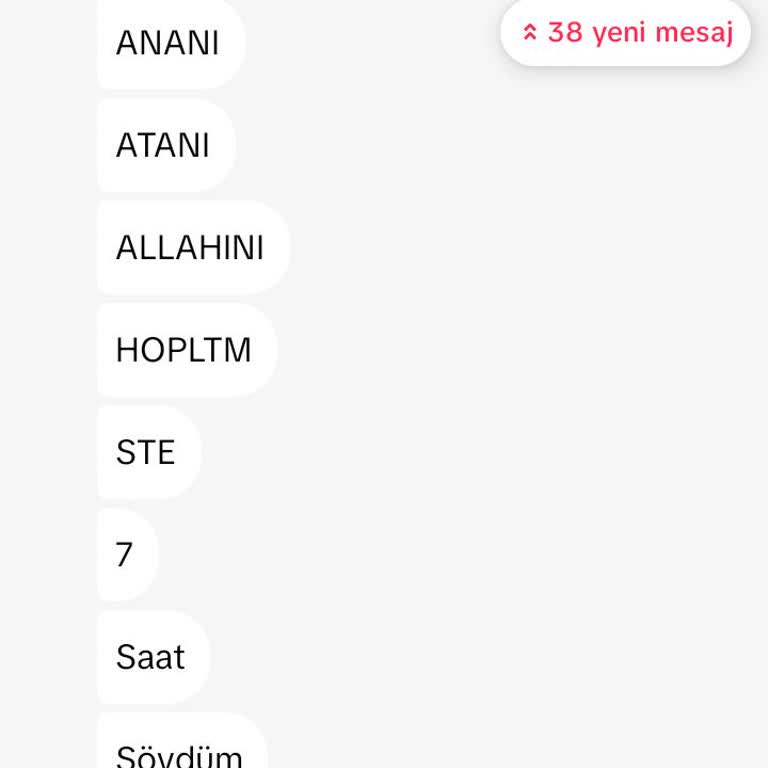 ROBLOX Atatürk'e Ve Allah'a Küfür Etmek.