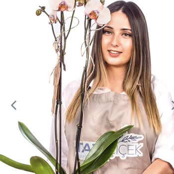 Taze Çiçek Double Hot Orkide Yerine Farklı Ve Çürük Çiçek Gönderimi