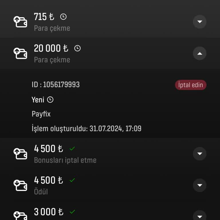 Başarıbet Saatler Süren Yatırım Sorunları