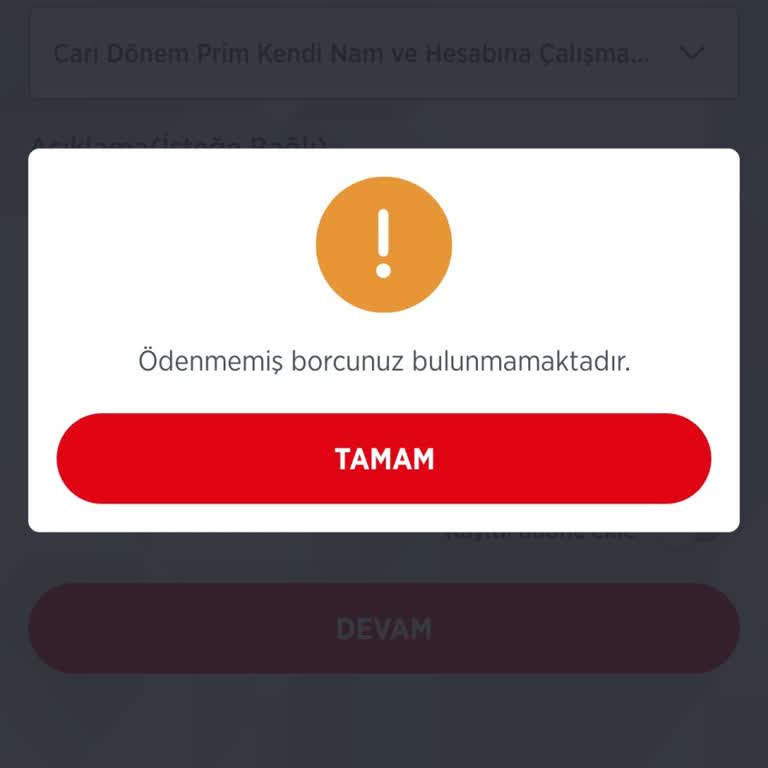 Bağkur Borç Sorgulama