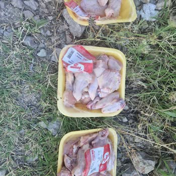 BİM Kokmuş Tavuk Satıyor