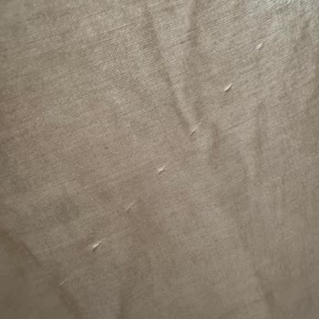 Gaus "Instagram Butiklerinin Satış Sonrası Kaybolmaları Üzerine"