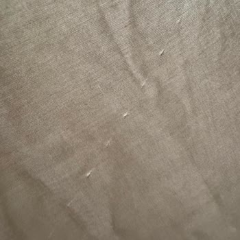 Gaus "Instagram Butiklerinin Satış Sonrası Kaybolmaları Üzerine"