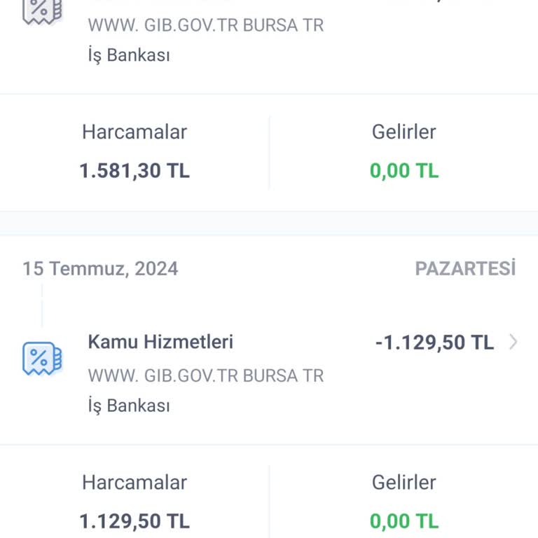 Gelir İdaresi Başkanlığı Trafik Cezası İki Kez Ödeme