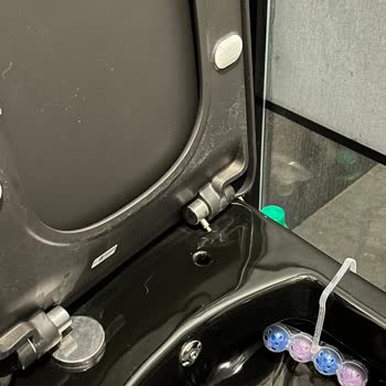 Creavit Klozet Kapağı Menteşe Arızası