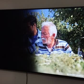 Samsung UE50AU9000UXTK Ekran Karardı