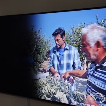 Samsung UE50AU9000UXTK Ekran Karardı