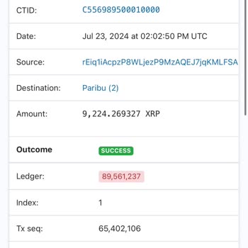 Paribu XRP Transferi Sorunu: 11 Gün Geçmesine Rağmen Çözüm Yok!