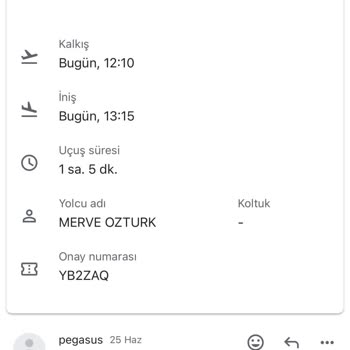 Pegasus Almatı-İstanbul Rötarı Sebebiyle 6 Saat Yerine 18 Saat Uçuş