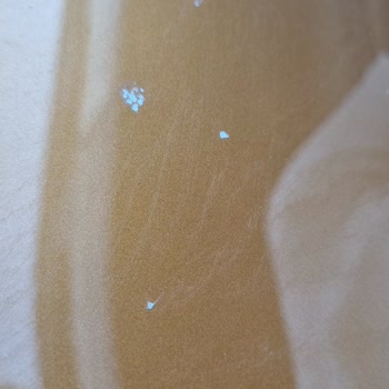 Çelik Motor Dacia Sandero Stepway Boya Hatası