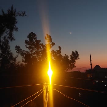 İzmir Büyükşehir Belediyesi Ağaçlar Çok Yüksek