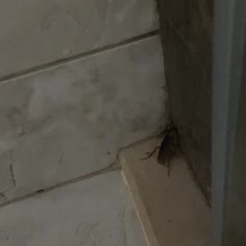 Crystal Hotels Sunset Luxury Resort SPA Skandalı!