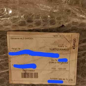 ALZ Garden Aldığım Yabanmersini Fidanları Beklentilerimi Karşılamadı