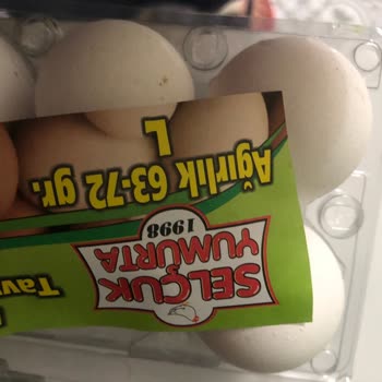 Selçuk Yumurta Bozuk Yumurta Satışı