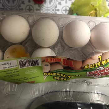 Selçuk Yumurta Bozuk Yumurta Satışı