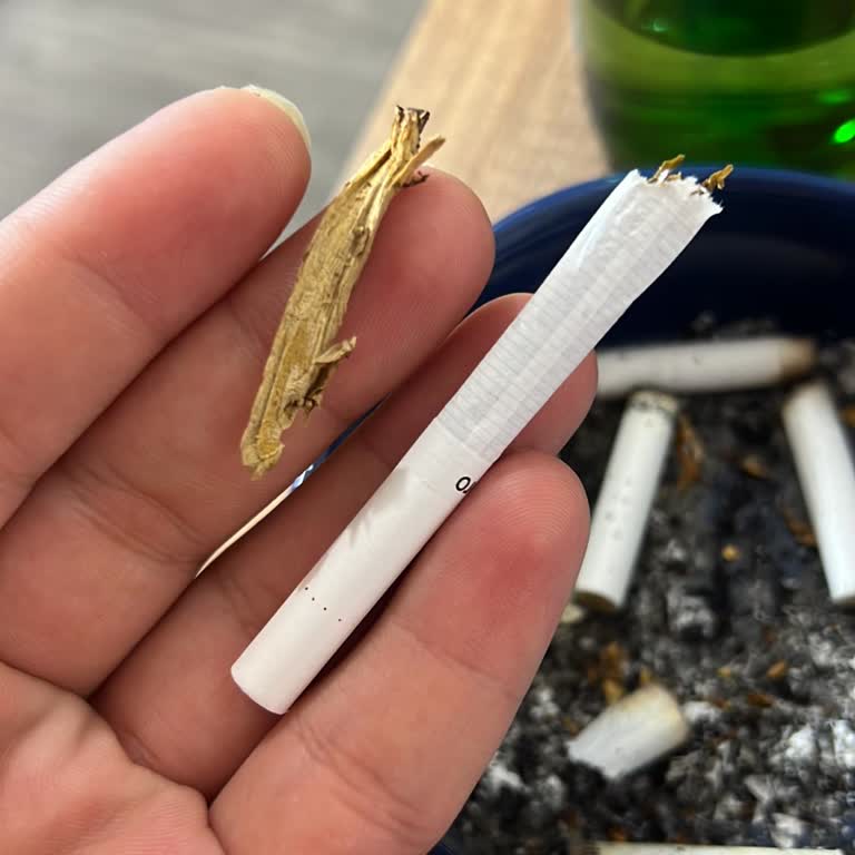 Marlboro Touch Blue Odun Parçaları