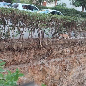 Kadıköy Belediyesi Kontrolsüz Ve Güvenlik Önlemi Almadan Yapılan İnşaat Kazısı