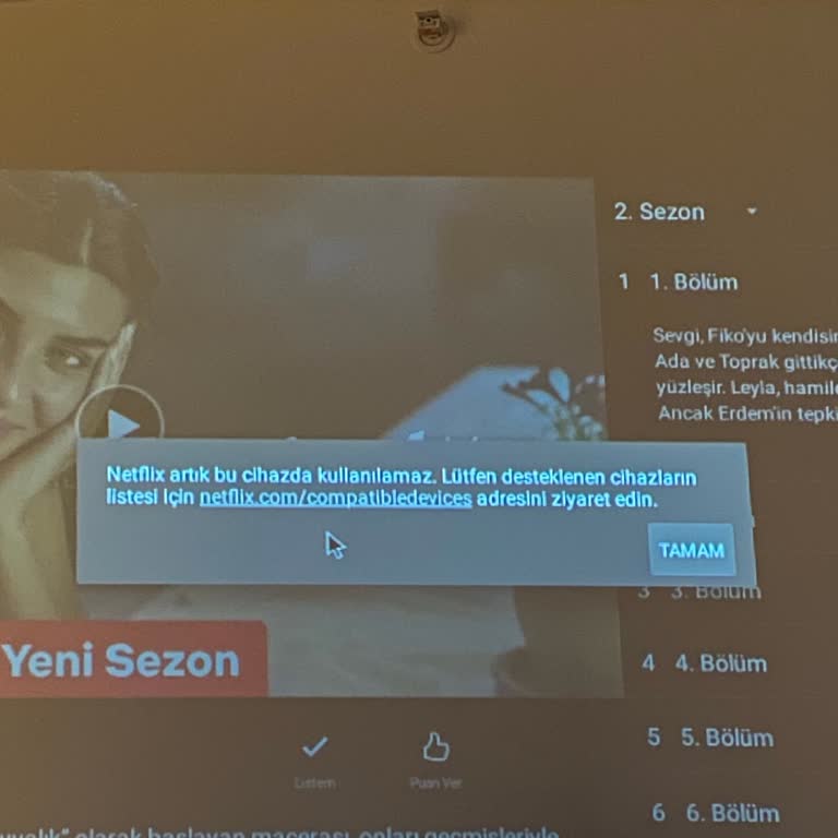 Havit Pj208 Projeksiyondan Netflix İn Kaldırılması