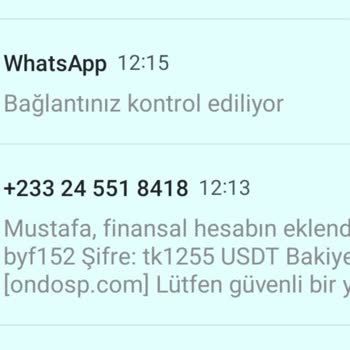WhatsApp Numaramın Başkasının Eline Geçmesi. WhatsApp'a Uyarı