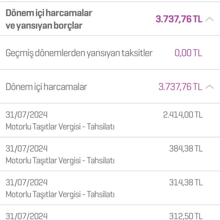 Enpara MTV Ödemesi Taksit Yapmıyor