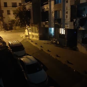 Boğaziçi Elektrik - BEDAŞ Sokak Aydınlatması Sorunu Ve İlgisizlik